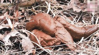 MiaRoxxx - 57. HUGE turd in cold forest
