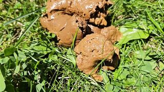 Nerdy Faery - Poop and Pee Fountain in my Garden
