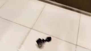 MisuEevee - Evening Gown Pee