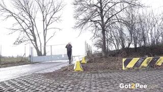 Golden Arc