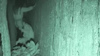 FU10 Night Watching 010