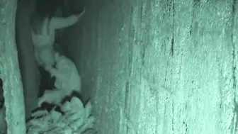 FU10 Night Watching 010