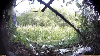 Latina Pissing Compilation 0005