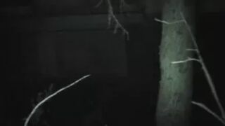 FU10 Night Crawling 220