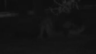 FU10 Night Crawling 219