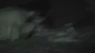 FU10 Night Crawling 200