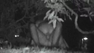FU10 Night Crawling 148