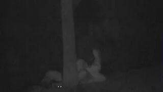 FU10 Night Crawling 135