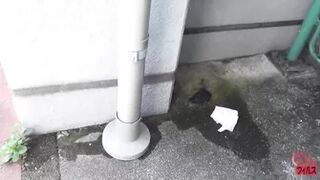 DLFF-096 01 Women’s pleasant peeing in standing position. Outdoor voyeurism