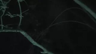 Galician Clip 484