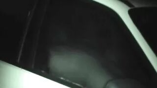 Auto Erotica 13