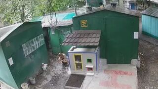 CCTV behind garages caught pissing woman