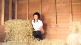 Diane Horse - Stable Pee