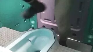 15391017 Temporary toilet where many mature women can line up
