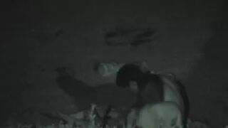 Night Watching 002-1