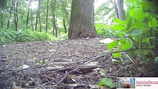 Voyeur outdoors 2021-1