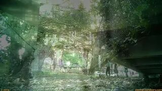 Beer Festival Summary 0055