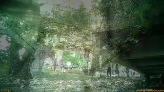 Beer Festival Summary 0055