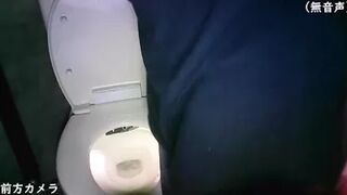 15391837 Mountain public toilet, 2 turtles ⑯