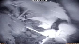 Rock Festival Summary 0085 Part 1