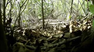 Filmed with a hidden camera,girls pee in nature-6