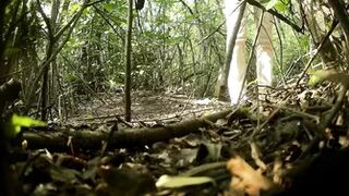 Filmed with a hidden camera,girls pee in nature-6