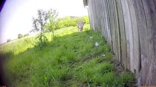 Beer Festival Summary 0059