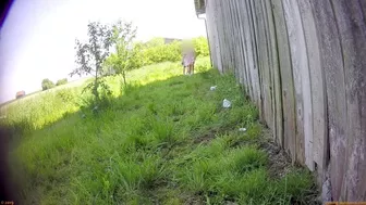 Beer Festival Summary 0059