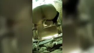 Asian Bar Toilet