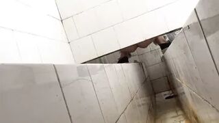 Technical Ditch Toilet