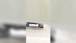 University Toilet 2