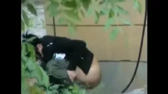 Hidden Zone WC 541-592