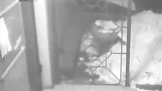 Desperate peeing near the door