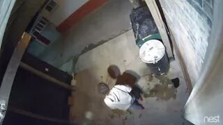 yt Public Urination - ladies are back...