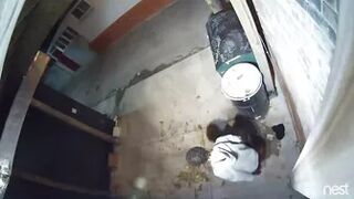 yt Public Urination - ladies are back...
