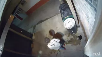 yt Public Urination - ladies are back...