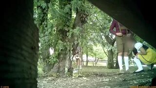 Не добежала сухой