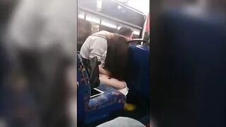 Sika w autobusie