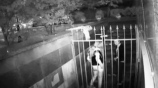 Pee Camera 2
