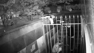 Pee Camera 2
