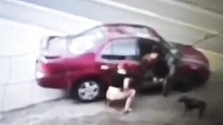 Girl Taking a Piss in a Highway Motel Parking Lot Dog Almost
