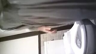 Japanese Voyeur Toilet 15310301
