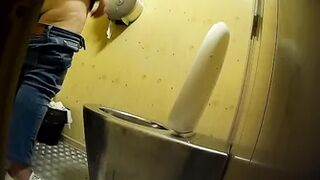 PublictoiletSL74 vol 277