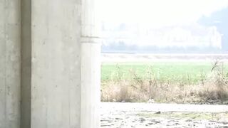 Petra Trubarova - Freezing cold I