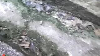 Japanese field piss