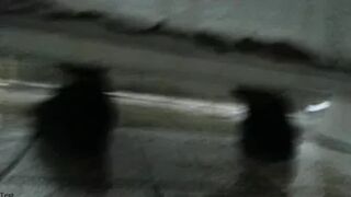 the floor gets washed