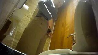 Asian Toilets 17