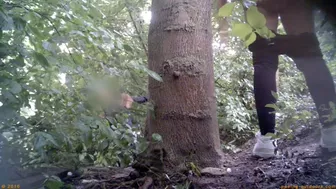 Beer Festival Summary 0038