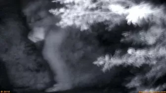 Beer Festival Summary 0041