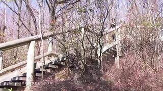 Rebekah - Tourist Point Pee